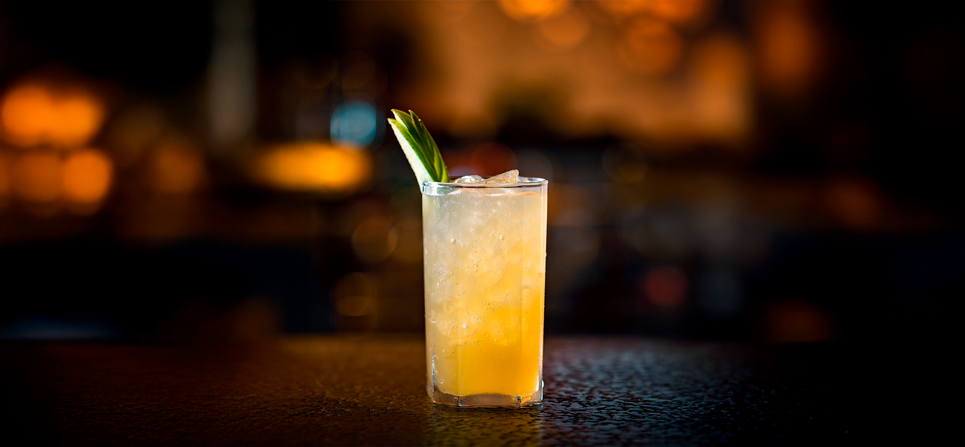 Discover the mixology